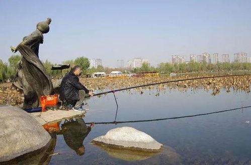 桂林大爆料新闻钓鱼,一场惊心动魄的钓鱼奇遇记