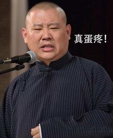 郭德纲爆料黑粉视频,揭秘网络暴力背后的真相