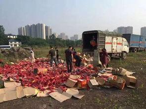 武胜今日爆料,揭秘今日热点事件背后的真相