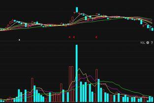 集中爆料最新分析图