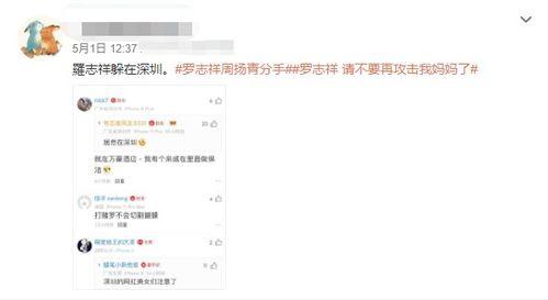 深圳网友爆料小猪视频,小猪视频引发热议，真相究竟如何？