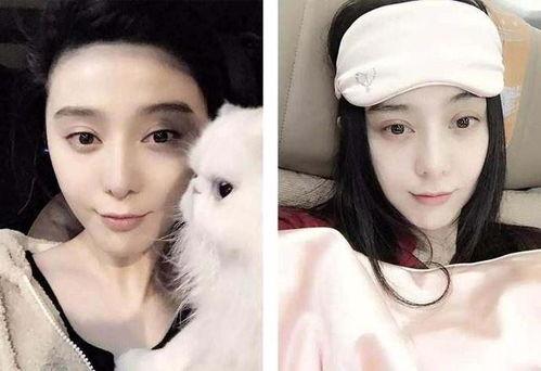 往期内容-吃瓜明星网红校园,吃瓜明星与网红的跨界传奇