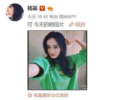 叔叔吃瓜视频在线观看免费,免费在线观看，揭秘娱乐圈幕后故事