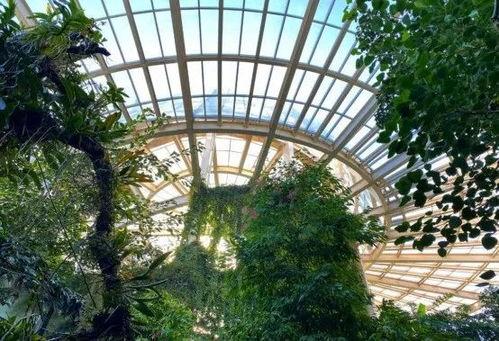 昆明植物园爆料视频大全